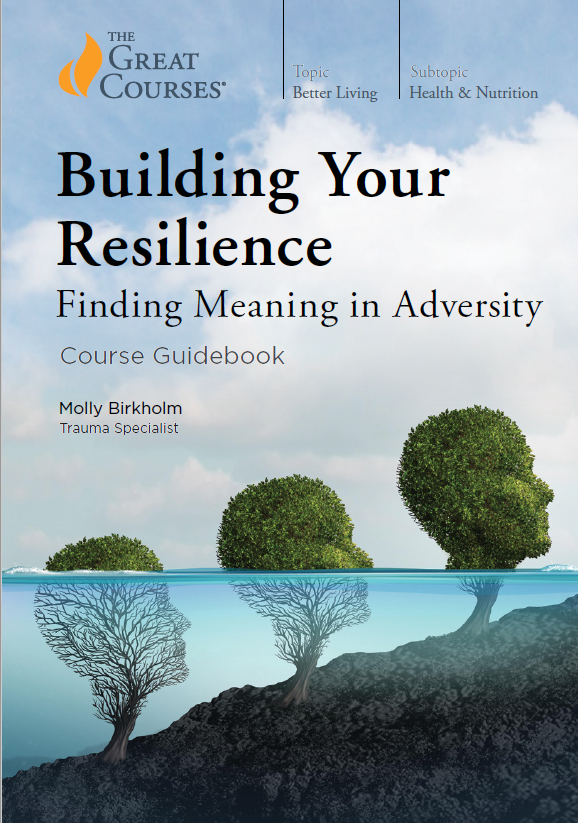 Building Your Resilience: Finding Meaning in Adversity