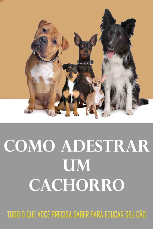 Como adestrar um cachorro