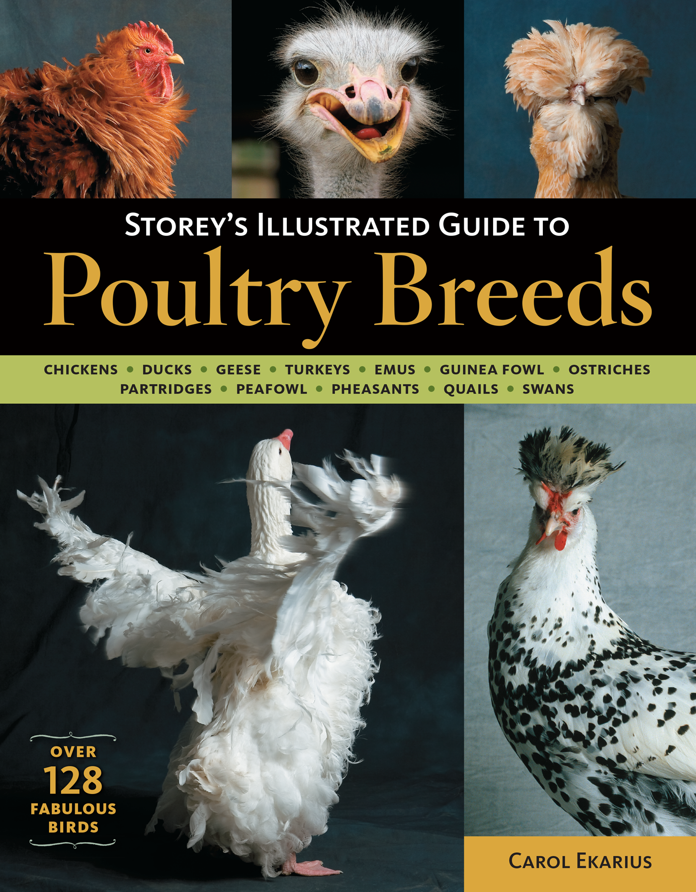 Storey’s Illustrated Guide to Poultry Breeds