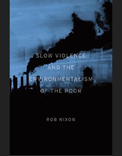 Slow Violence and the Environmentalism of the Poor