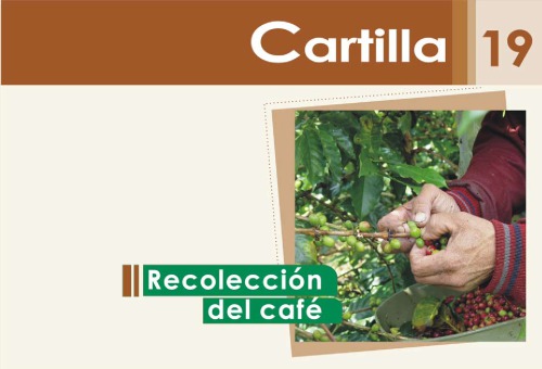 cartilla cafetera No. 19 - recolección de café