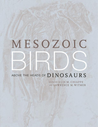 Mesozoic Birds: Above the Heads of Dinosaurs