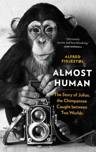 Almost Human: The Story Of Julius, The Chimpanzee Caught between Two Worlds