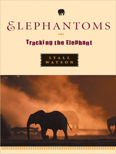 Elephantoms: tracking the elephant