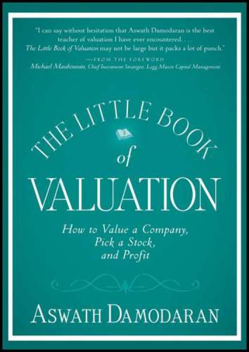 The Little Book of Valuation: How to Value a Company, Pick a Stock and Profit