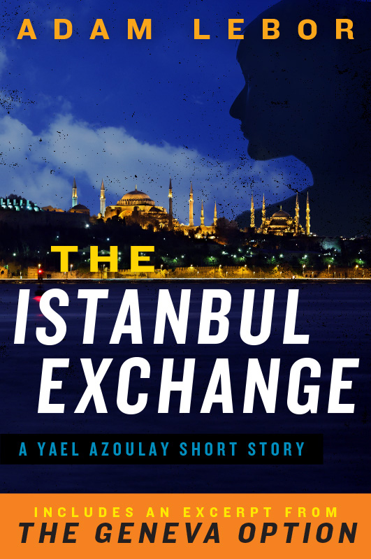 The Istanbul Exchange