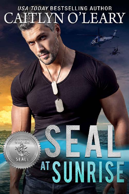 SEAL at Sunrise (Silver SEALs Book 12)