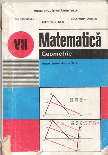 Matematică. Geometrie. Manual pentru clasa a VII-a