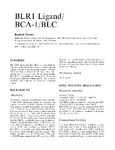 BLR1 Ligand/ BCA-1/BLC