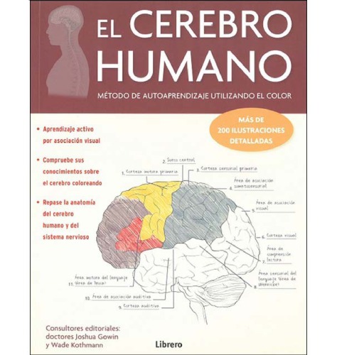 El cerebro humano: método de autoaprendizaje utilizando el color