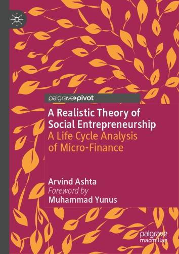 A Realistic Theory of Social Entrepreneurship: A Life Cycle Analysis of Micro-Finance