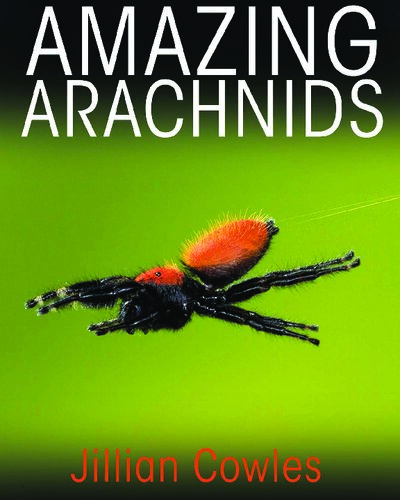 Amazing Arachnids