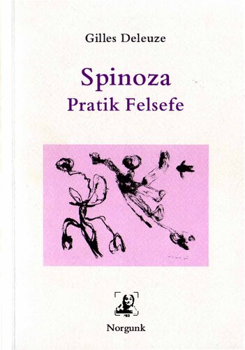 Spinoza, Pratik Felsefe