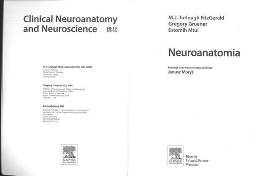 Neuroanatomia