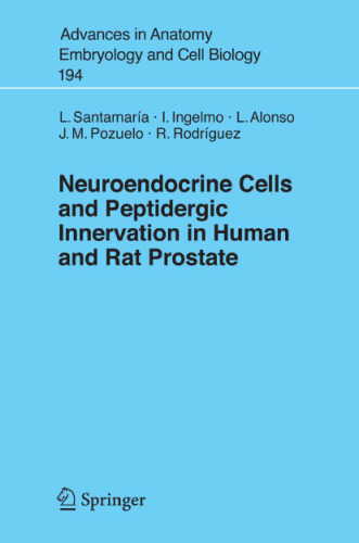 Neuroendocrine Cells and Peptidergic Innervation in Human and Rat Prostrate