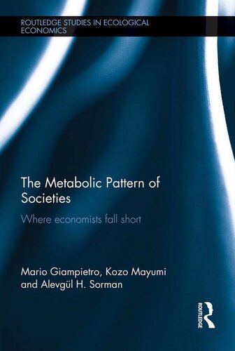 The Metabolic Pattern of Societies: where Economists Fall Short