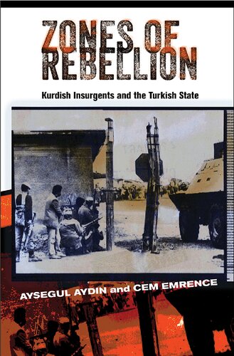 Zones of rebellion : Kurdish insurgents and the Turkish state