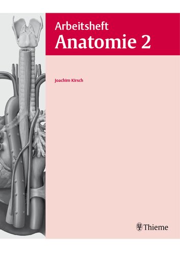 Arbeitsheft Anatomie 2