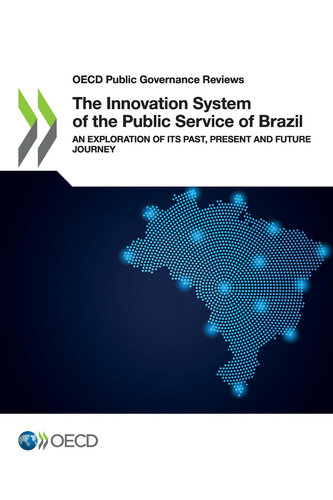 The Innovation System of the Public Service of Brazil