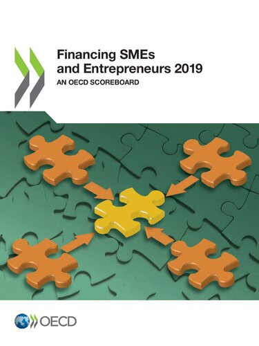 Financing SMEs and Entrepreneurs 2019 an OECD Scoreboard