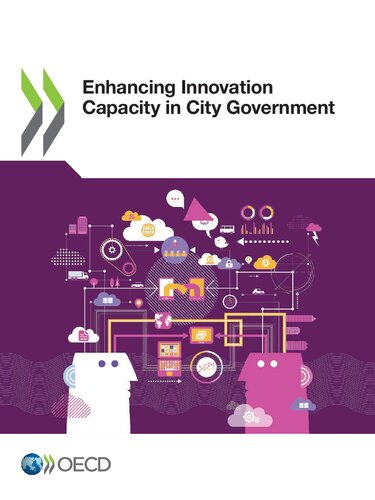 Enhancing innovation capacity in city government