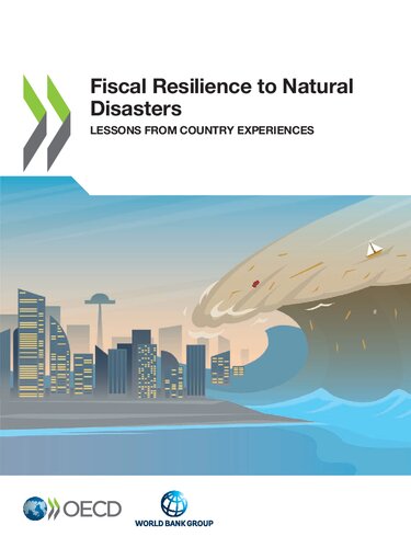 Fiscal Resilience to Natural Disasters