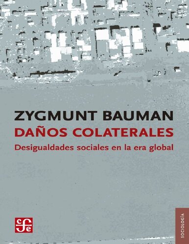 Daños colaterales: desigualdades sociales en la era global