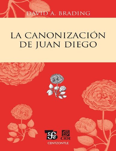 La canonización de Juan Diego