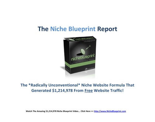 Niche Blueprint