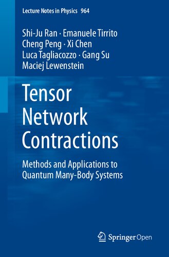 Tensor Network Contractions: Methods and Applications to Quantum Many-Body Systems (Lecture Notes in Physics (964), Band 964)