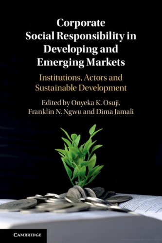 Corporate Social Responsibility in Developing and Emerging Markets: Institutions, Actors and Sustainable Development