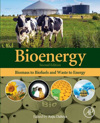 Bioenergy: Biomass to Biofuels and Waste to Energy