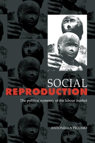 Social Reproduction: The Political Economy of the Labour Market