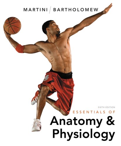 Essentials of anatomy & physiology