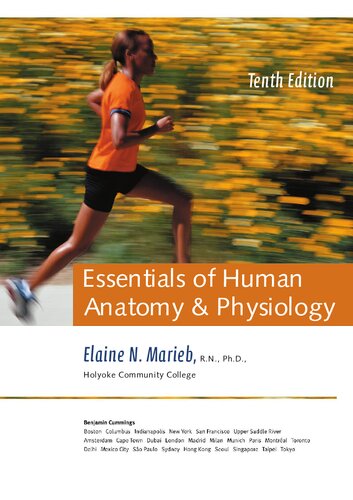 Essentials of human anatomy & physiology