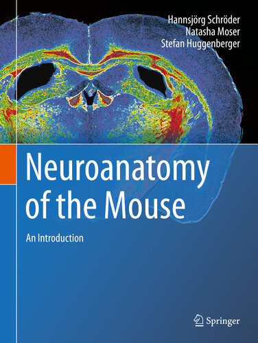 Neuroanatomy of the Mouse: An Introduction