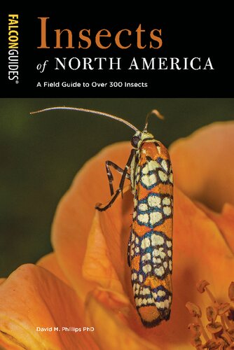 Insects of North America a field guide