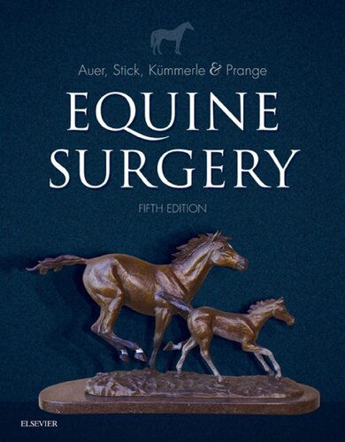 Equine Surgery