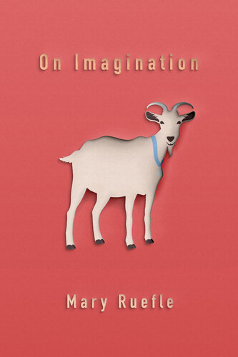 On Imagination