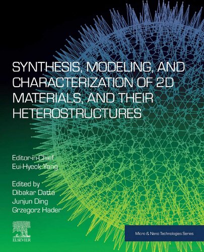 Synthesis, Modelling and Characterization of 2D Materials and their Heterostructures (Micro and Nano Technologies)