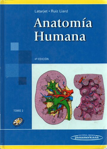 Anatomía Humana. Volumen II