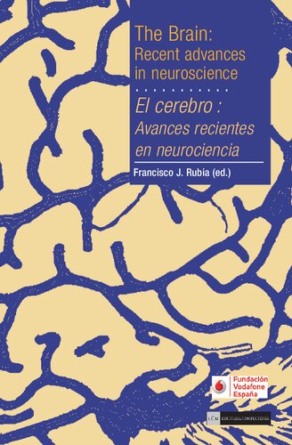 El cerebro: avances recientes en neurociencia