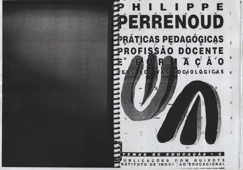 Práticas pedagógicas, profissão docente e formação