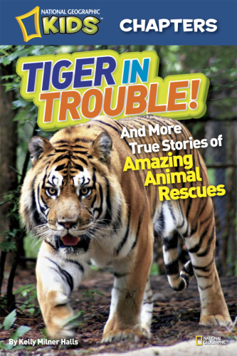 Tiger in trouble and more true stories of amazing animal rescues