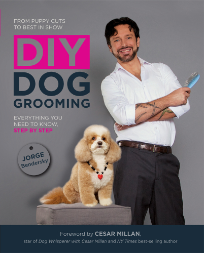 From puppy cuts to best in show, DIY dog grooming: everything you need to know, step by step