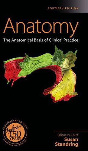 Gray's Anatomy: The Anatomical Basis of Clinical Practice