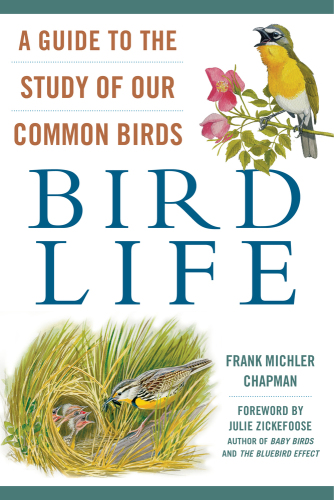 Bird life: a guide to the study of our common birds