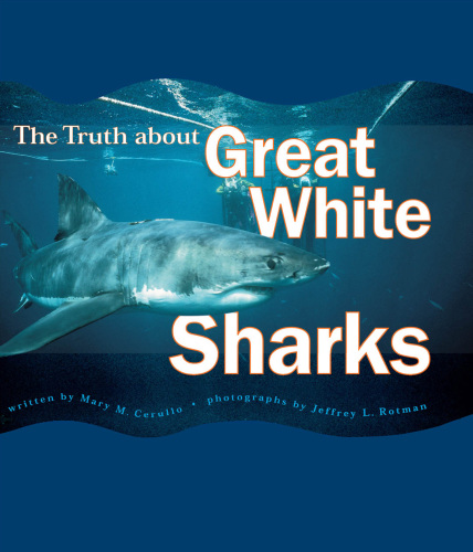 The Truth About Great White Sharks