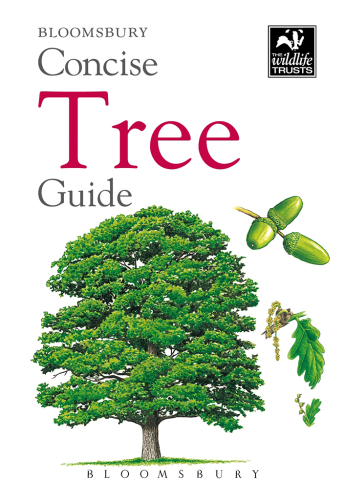 Bloomsbury concise tree guide