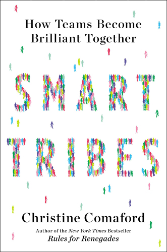 Smarttribes: how teams become brilliant together